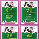 쭈빠삐무녜뇨 이미지