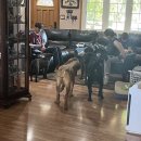 포동이농장 이미지