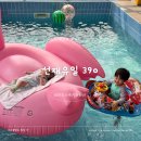 선재유일390 이미지