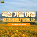 곡성 고즈넉한 가을 여행 도림사와 동화마을 이미지