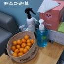 VOMM안경원 네이버블로그