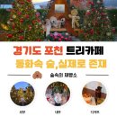 숲속의하루 | 포천 크리스마스 카페 추천｜숲속의제빵소 미니케이크 먹어본 솔직 후기