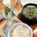 다솔외식 | 논산 맛집 내돈내산 다솔갈비 식사부터 카페 동물체험까지 한 번에 가능한 가족 외식 명소