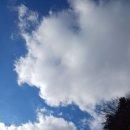 내나이가어때서 한의원 이미지