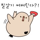 디투어스 이미지