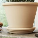 라운더리 이미지