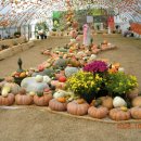 송정공원2 이미지