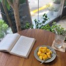 (주)트랜지 | 역발상 주식 투자