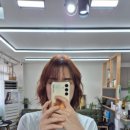 하쏘헤어 이미지
