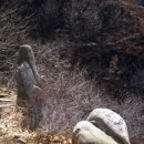 NR-39[서해로]-상-150 | 삼성산 삼막사로 가을 산책. 안양 만안구