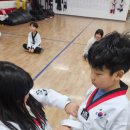 한국체대하나태권도장 이미지