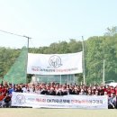 세종제1야구장 이미지