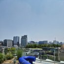 종로구에서 제일 예쁜 경복궁역 루프탑 카페 &#39;리제로서울&#39; 내돈내산 후기