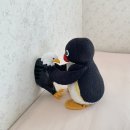 모텔로제 | [ 25년, 5월 그믐 일기 ] 고속 노화 식단 먹고 칷...! 죽어불랍니다.