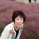 홍원 이미지
