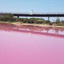 호수게임장 이미지