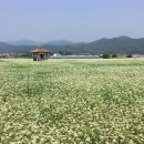 농업회사법인 이상축산(주)