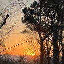 고산초교 | 수성구 해맞이 행사 시지 천을산 1월 1일 해맞이 일출 등산 후기