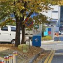 시청서4길47여수보건소 건물쪽이면도로 | [후기] 여수 운전면허 갱신 재발급 방법과 비용
