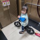 퍼스트타이어 | 유아 밸런스바이크 고민 끝! 직접 보고 구매했어요 (feat. 퍼스트바이크 리미티드 멋져버려)