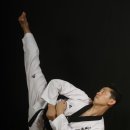 금태회금메달태권도 이미지