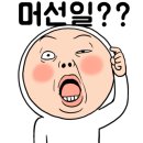 피자스쿨 세종대점 이미지