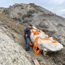 대평원목장 | 극희귀 '공룡 미라', 미네소타로 연구 위해 이송