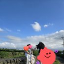 내돈내산/ 제주 웨딩스냅 &lt;셔터프레소_롱샷&gt; 촬영 후기 with 테나작가님