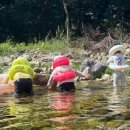 은천농장 이미지