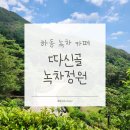 중골내 | 하동 녹차밭 카페 | 따신골 녹차정원 | 내돈내산 티크닉 후기