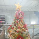 영조(아) 이미지