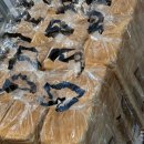 534 | 광주 샌드위치 맛집 요거얌✨ 행사 간식 534개 주문 리뷰 전격 공개!