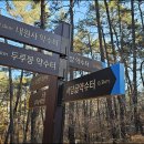 구선천 티스토리
