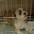 용강주유소 이미지