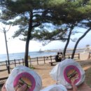 뉴오션리조트 이미지