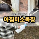 유일목장 | 제주도 아이와 가볼만한 곳 아침미소목장 체험 후기