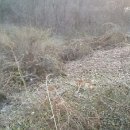 임실반디울농장 이미지