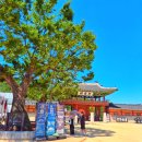 경기도 수원시 팔달구 수원천로255번길 | 수원 행궁동 화성행궁 신풍루 장안문 화홍문 수원천 남문시장까지 걷기