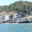 치마골농장 이미지