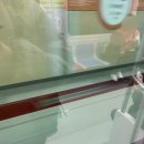 한결노동조합 | 🍽️식샤를 (그만)합시다ㅋ🍽️