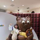 초콜릿월드 이미지