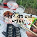 나연김밥 | 나연김밥 | 자양역 뚝섬한강공원 근처 김밥 맛집 포장 피크닉