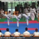 고려한마음태권도 이미지