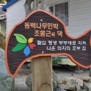 포구나무민박 이미지