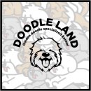 두들랜드 이미지