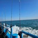 하나유선(하나호) 이미지