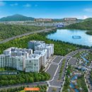 숲속의아침2 이미지