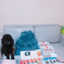 와글팝 | 제9회펫케어페스티벌에서 꿀득템하고왔어요~!