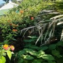 소담이네 돌집 이미지