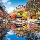 브이아이피여행사 이미지